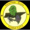 TENNESSEE PIN STATE EMBLEM TENNESSEE PIN